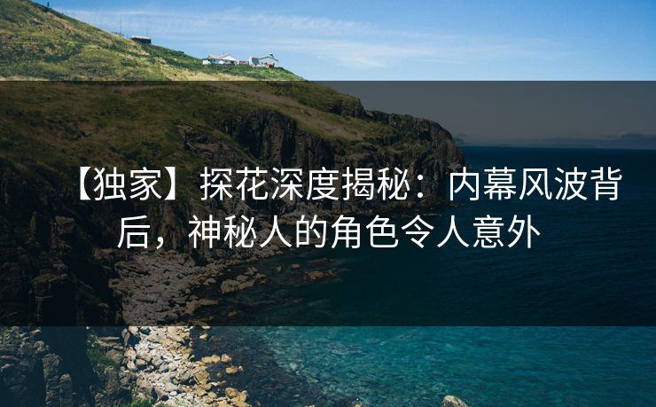 【独家】探花深度揭秘：内幕风波背后，神秘人的角色令人意外