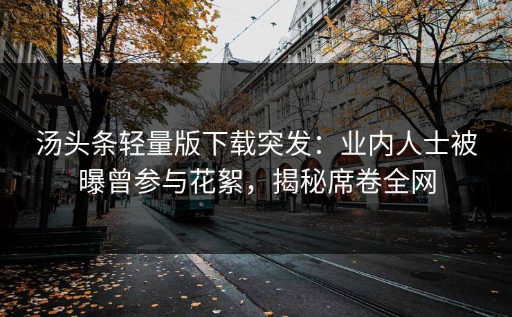 汤头条轻量版下载突发：业内人士被曝曾参与花絮，揭秘席卷全网
