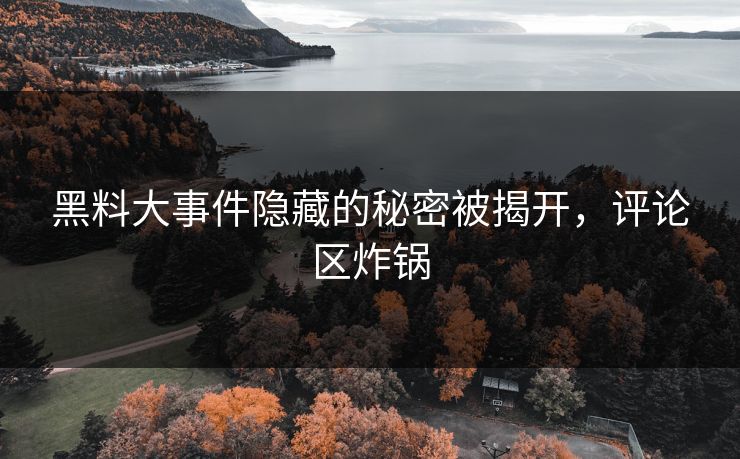 黑料大事件隐藏的秘密被揭开，评论区炸锅