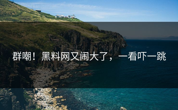 群嘲！黑料网又闹大了，一看吓一跳