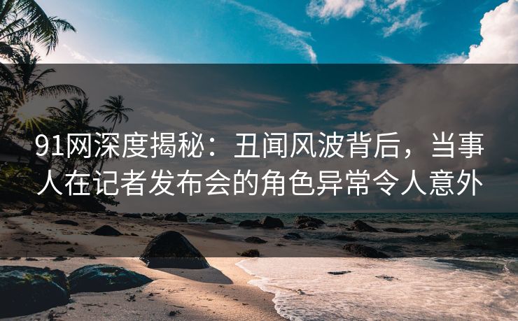 91网深度揭秘：丑闻风波背后，当事人在记者发布会的角色异常令人意外